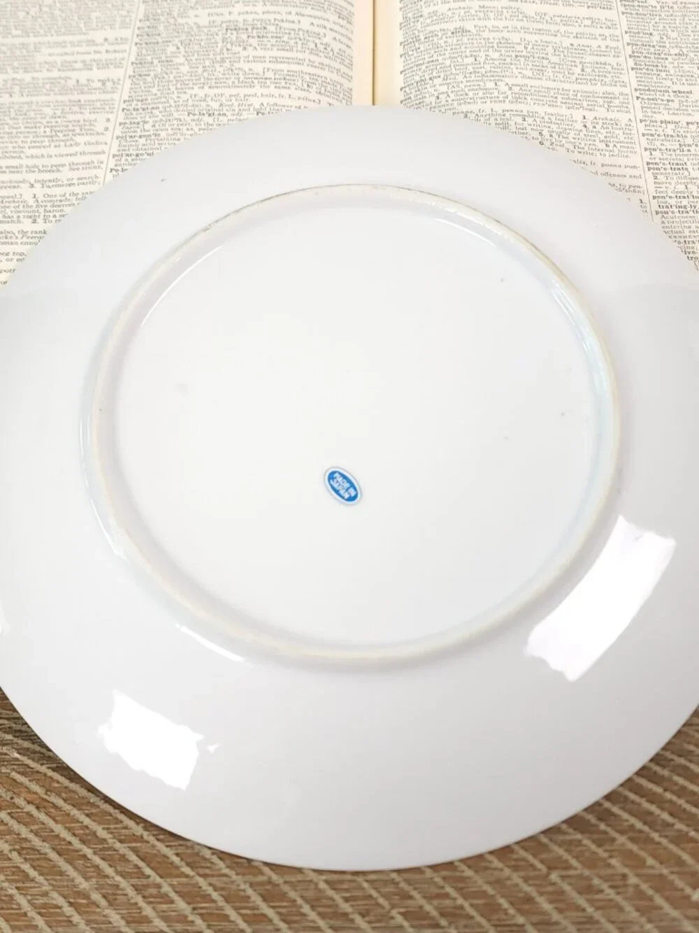 Vintage Curzon Teddy Bear Plate with Red‎ Rim